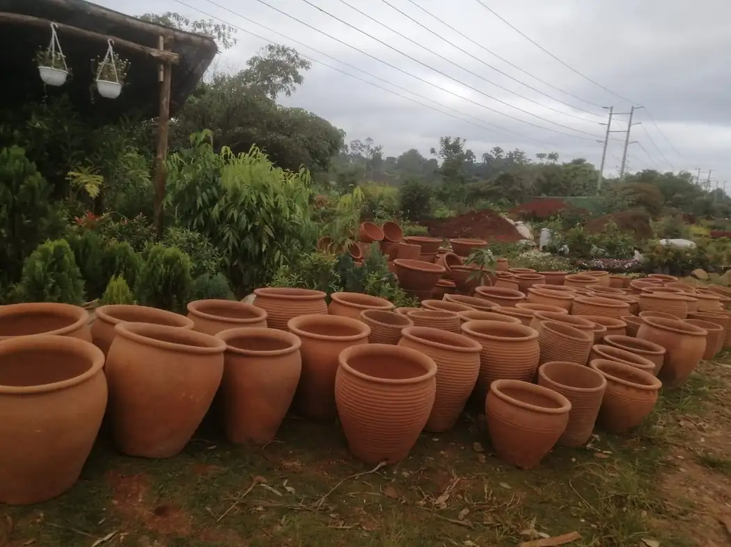 Clay pots & planters